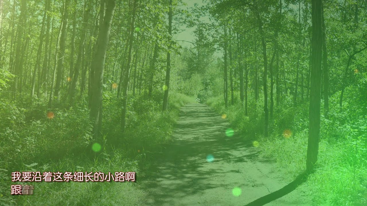《小路》伴奏