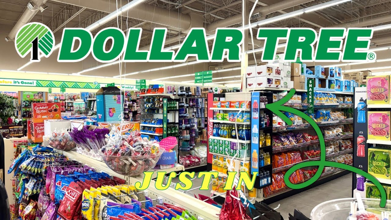 SHOP NEW Dollar Tree FINDS
