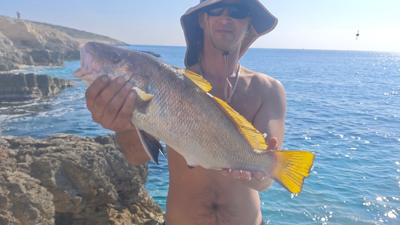 Ribolovne radosti sa obale(istra),ješkanje žive sipe i lignje,kaval 1400,zubatac 1 kg i svega🤘🤘