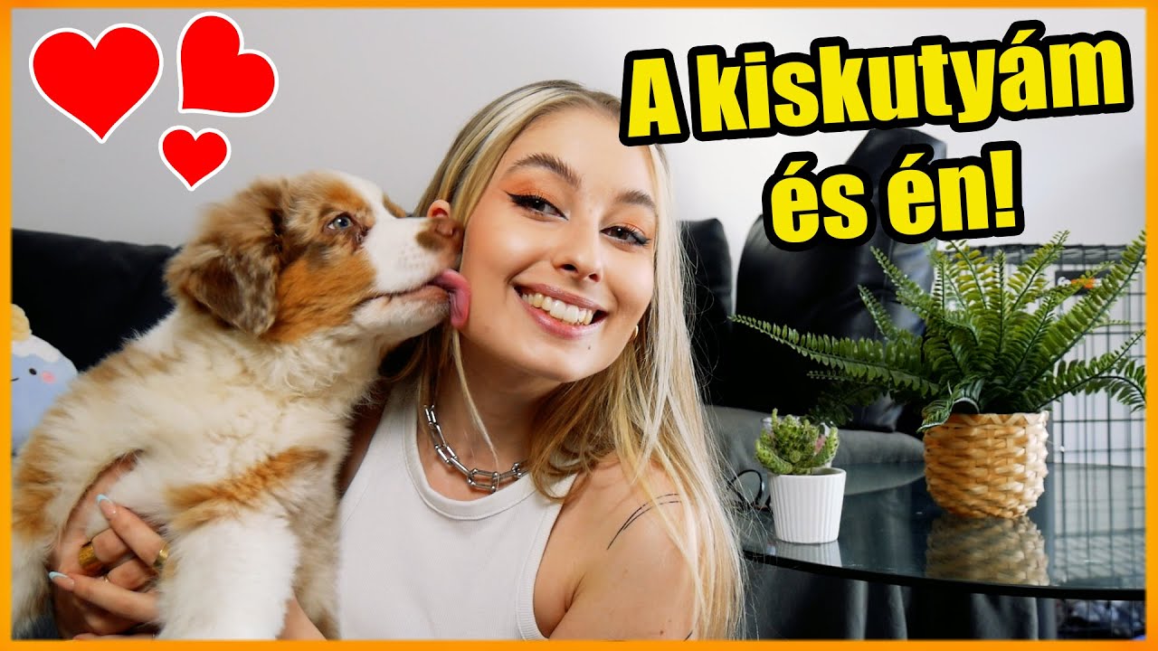 A KISKUTYÁM ÉS ÉN! 🐶❤️️ - Történetünk kezdete