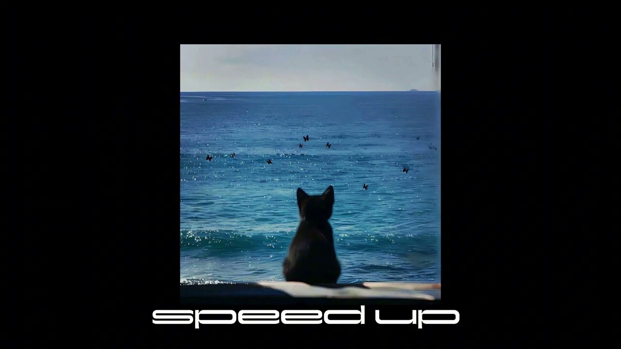рандомный speed up плейлист для тебя ♫ //speed up song // tiktok song