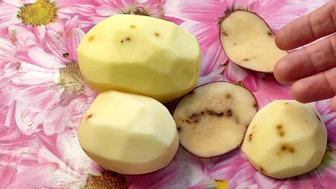 ☝☝РЖАВОСТЬ КАРТОФЕЛЯ. Почему это происходит и как спасти урожай?