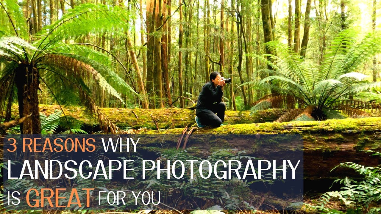 3 Reasons Why Landscape Photography Is Great For You