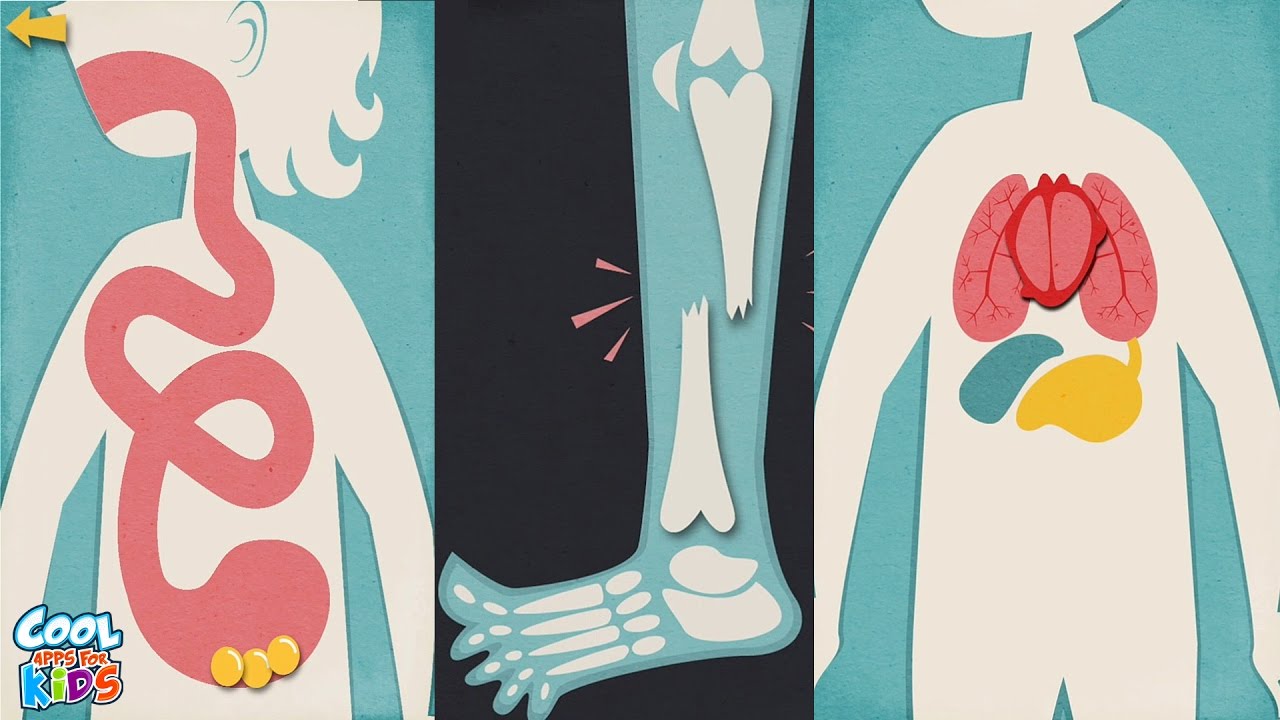 Toca Doctor - Let Children be doctor for a day! - Educational Video For Children