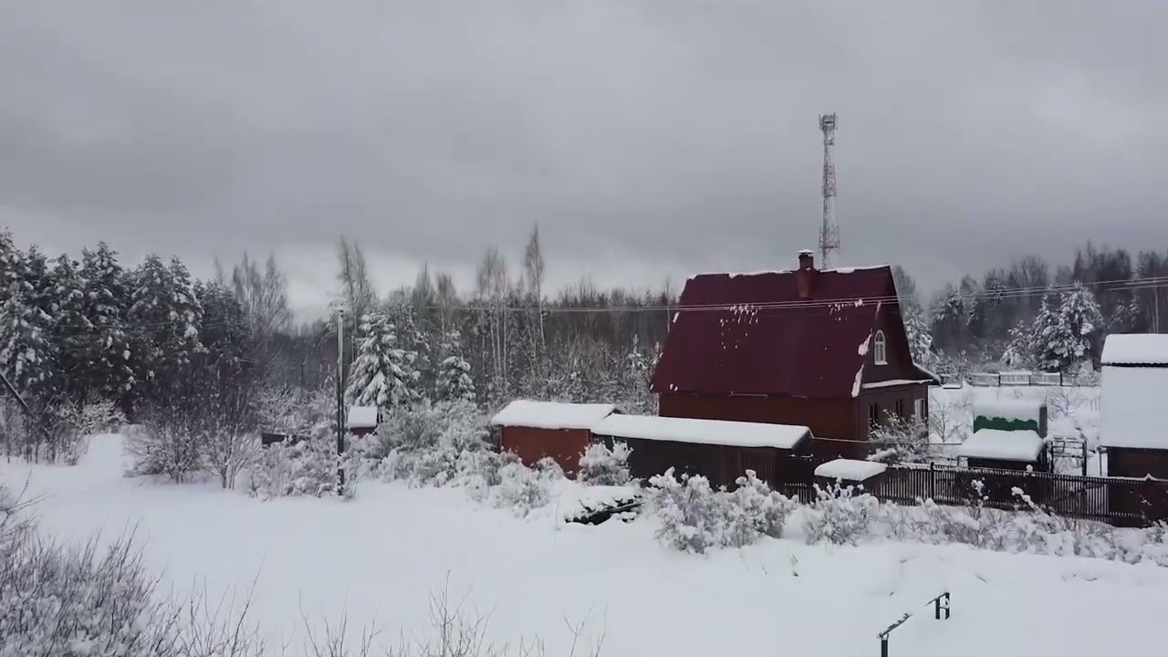 ARRELS NEU