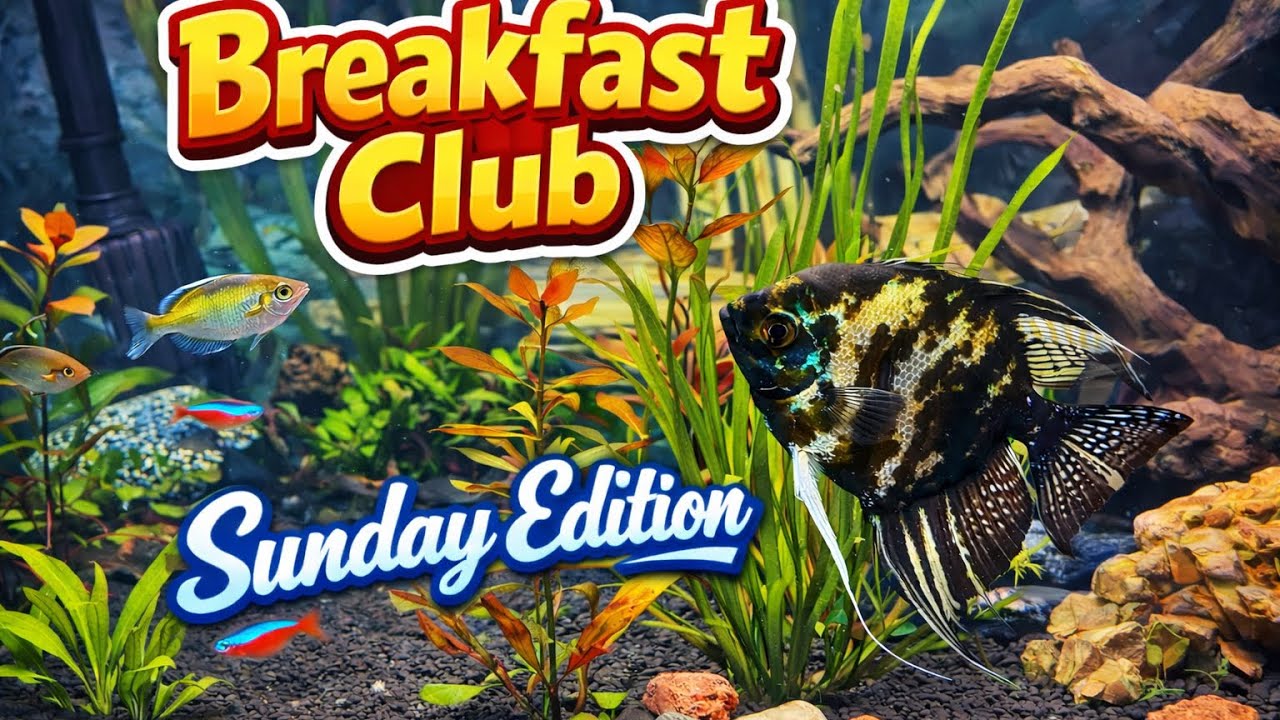 Breakfast Club | Sunday Edition ☕🐟