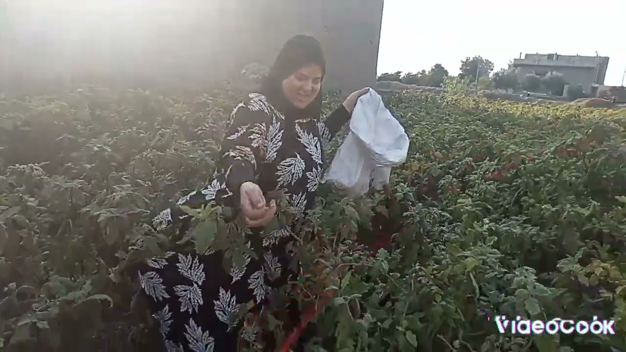 يا جمال الريف والخير اللي فيه ♥️♥️♥️