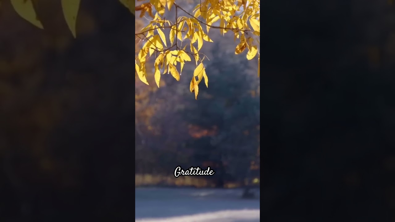 Gratitude | Peaceful Autumn Piano 