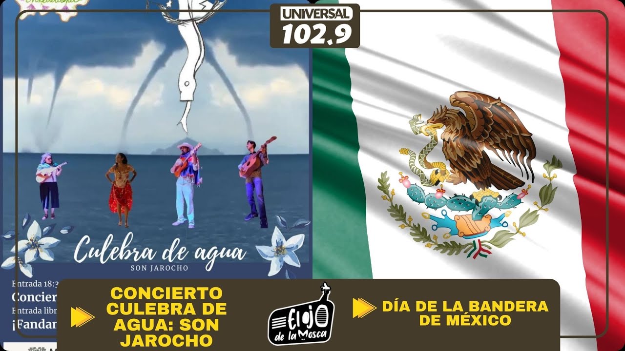 #ElOjoDeLaMosca - 24|02|2026