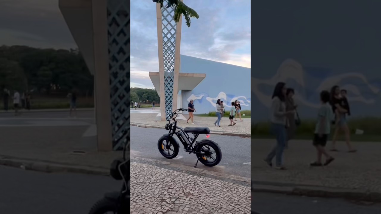 E-BIKE V9-G60