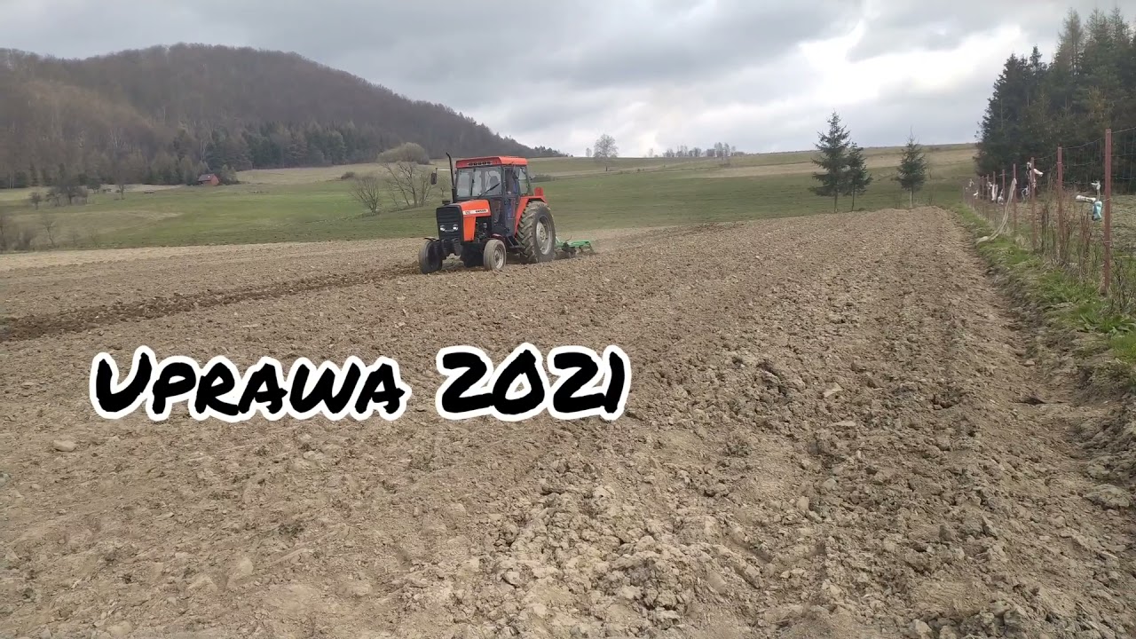 uprawa 2021 !  Polska moc 🇵🇱
