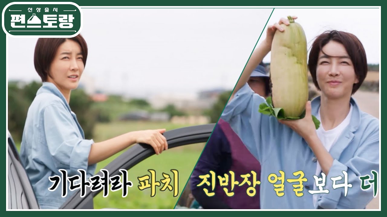 진서연, 각종 채소를 놀랍도록 싸게 사는 비밀 장소가 있다?! 제주에서 파치 수확에 신난 진반장★ [신상출시 편스토랑/Fun-Staurant] | KBS 231027 방송