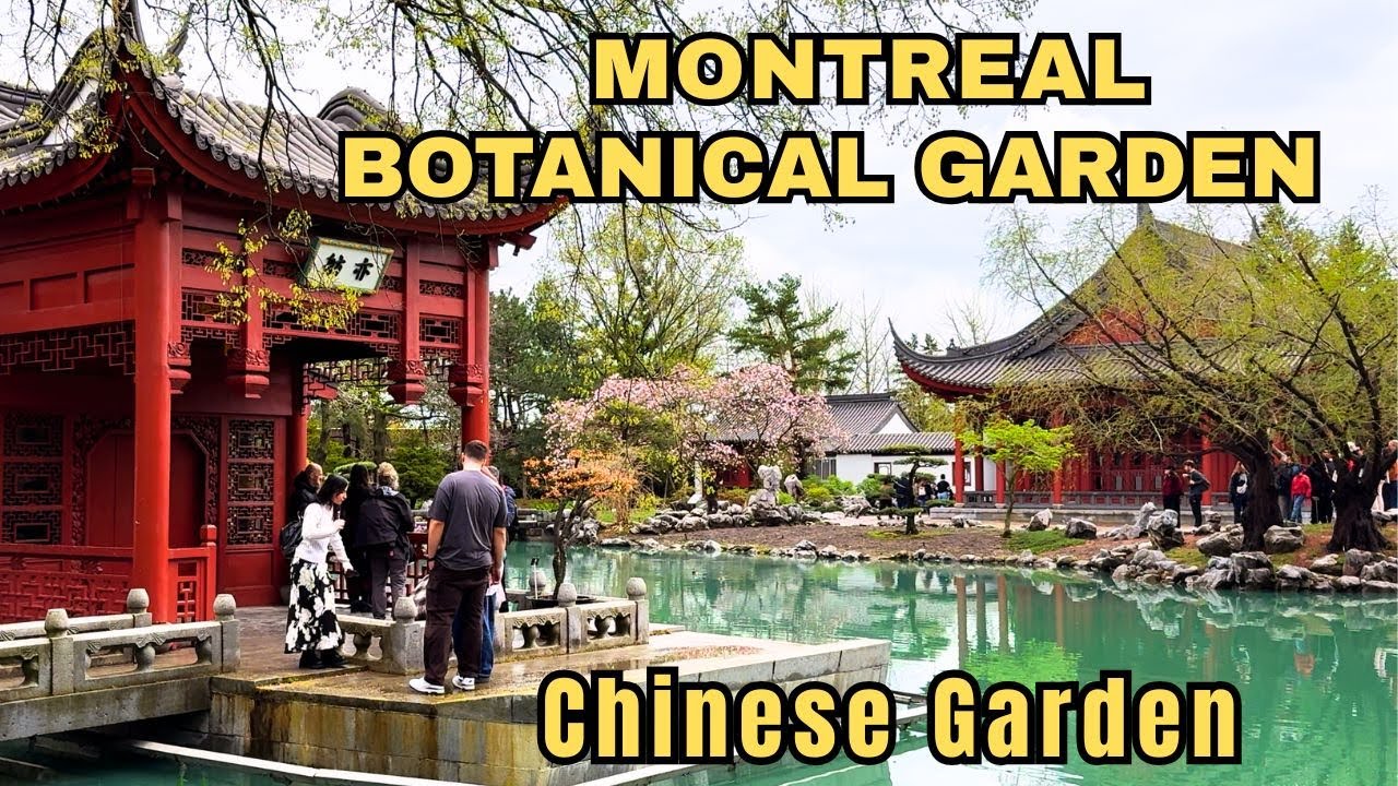 Chinese Garden at Montreal Botanical Garden | Top Things to Do in Montreal