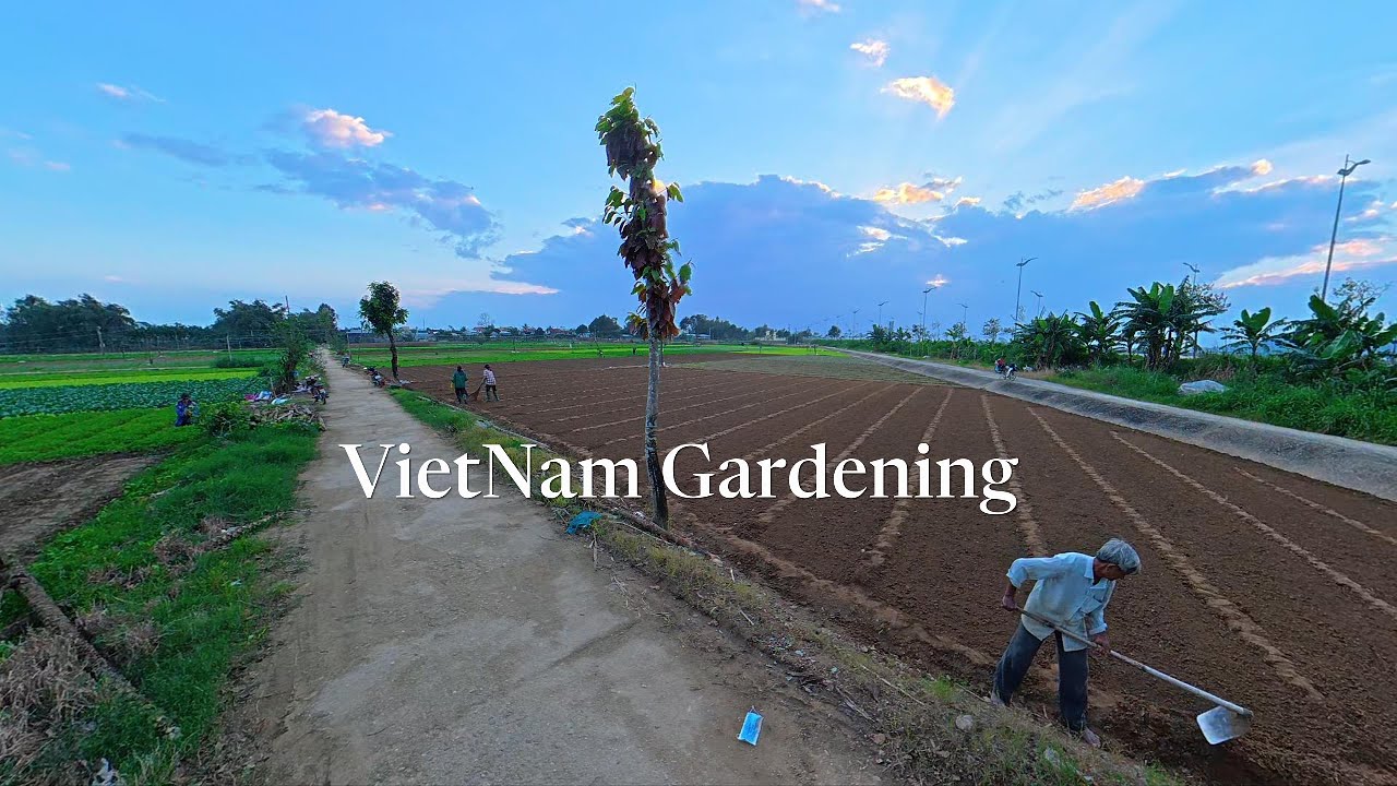 Vietnamese Rural Life (Ep1)