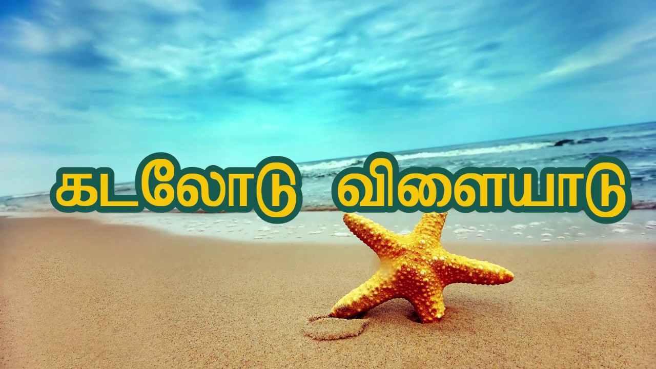 கடலோடு விளையாடு