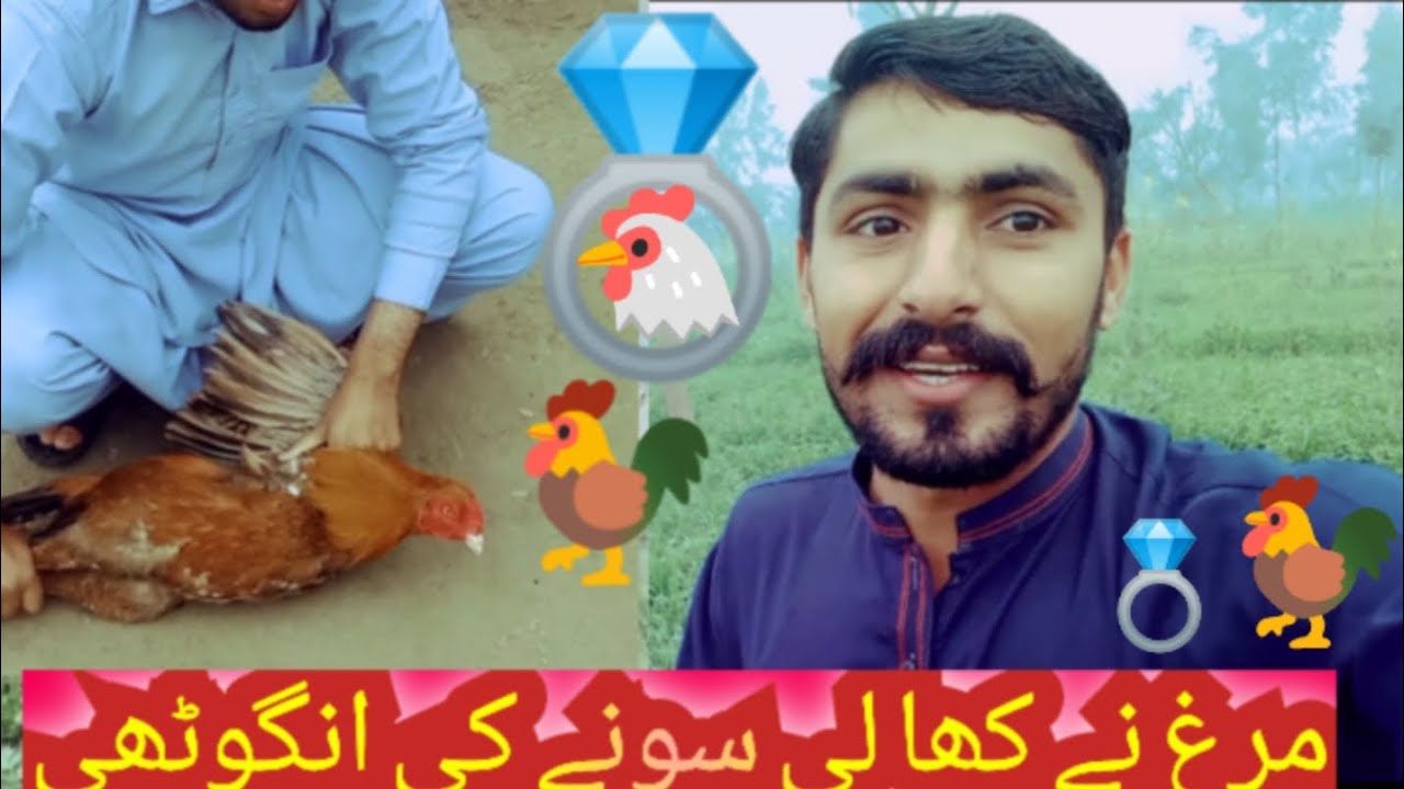 🐓🐓🐓 مرغے نے کھا لی سونے کی انگوٹھی 💍💍💍 پھر ہم نے ذبح کر لی مرغی 🐔🐔🐔#tag #farming #trending #vlog 