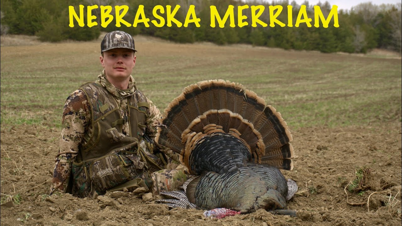 Merriam Turkey Hunting in Nebraska | Spring Success