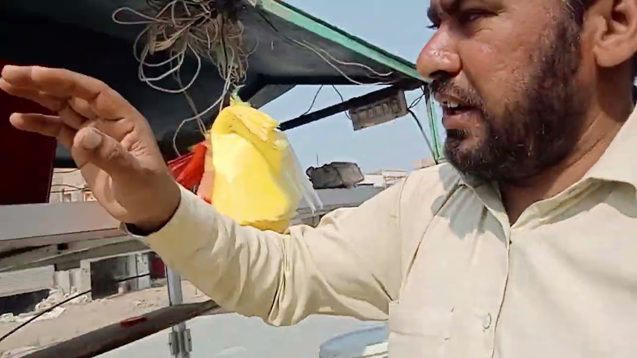 Aaj naya kam Shuru Kiya dahi bhalla ka
