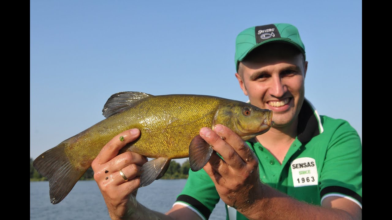 Method Feeder – sposób na łowiska komercyjne i nie tylko