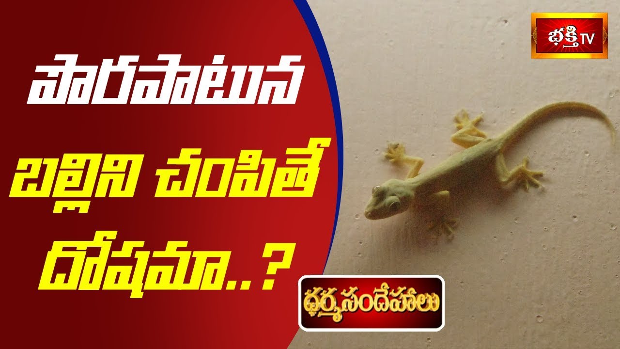 పొరపాటున బల్లిని చంపితే దోషమా..? | Sri Mylavarapu Srinivasa Rao | Dharma Sandehalu | Bhakthi TV