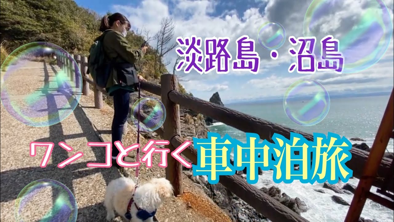 淡路島の離島・沼島へ！犬連れ車中泊