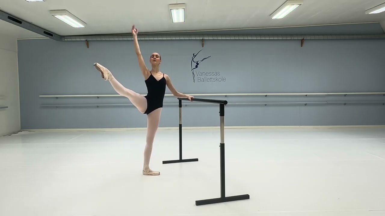 Dutch National Ballet Academy Audition