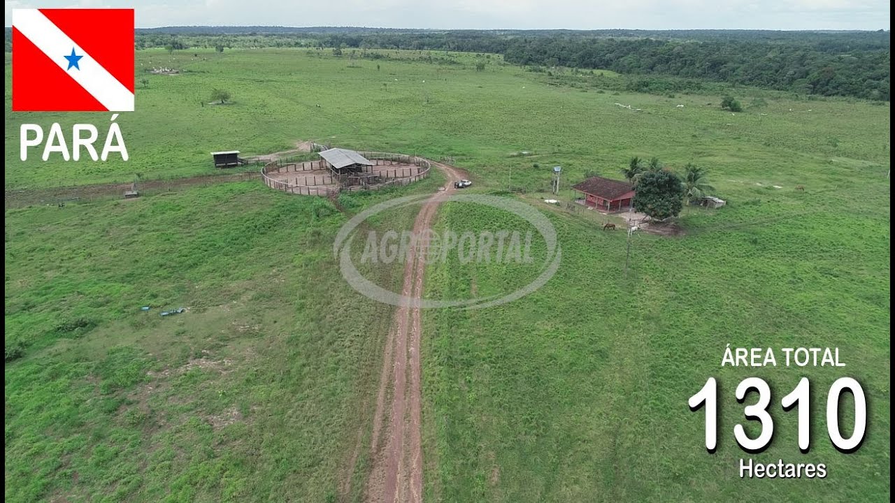 FA00226 Fazenda à venda no Pará - 1.310 ha (270 alq) - Região de Castanhal