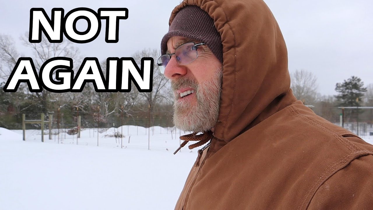 Frantically preparing for the cold snap | Garden, Greenhouse, chickens and around the house