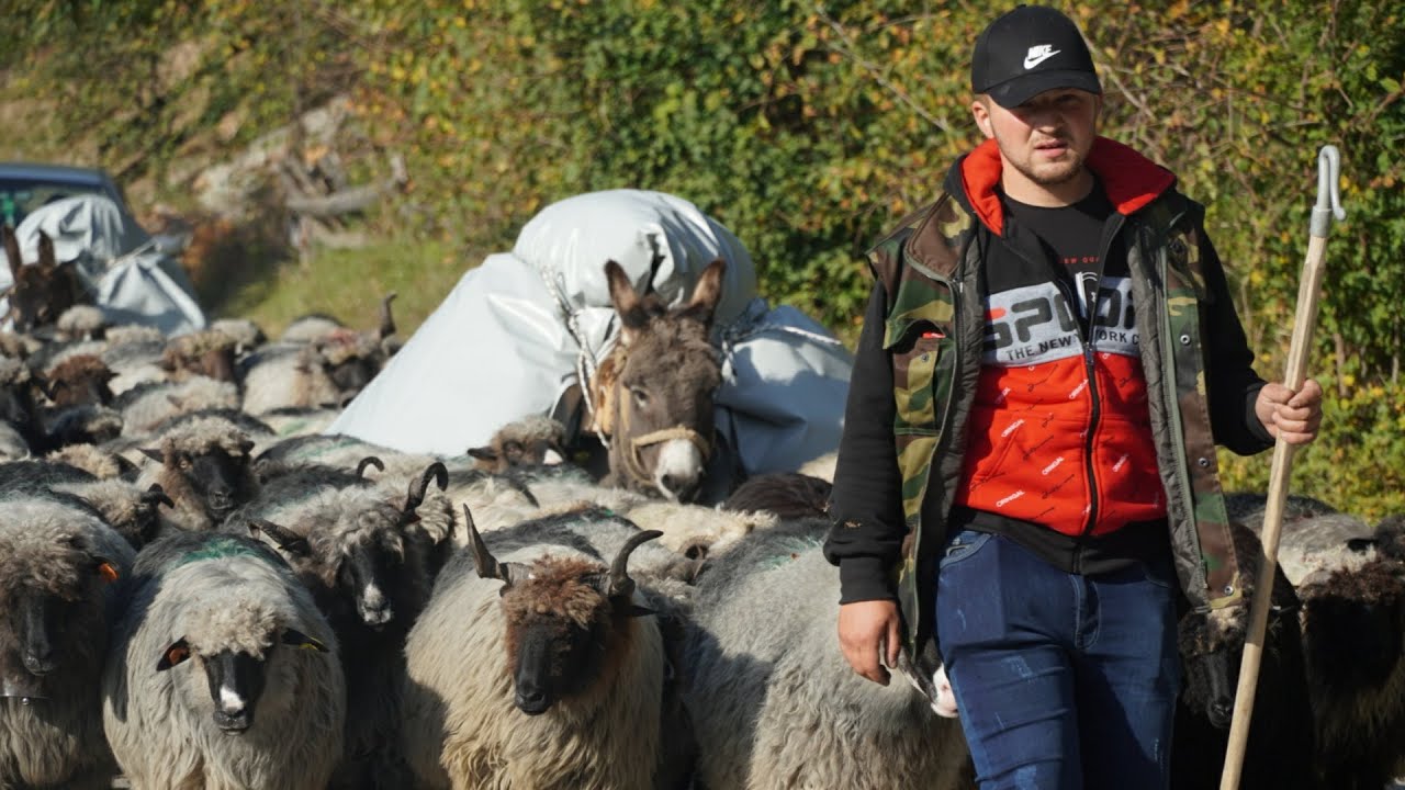 23 GODIŠNJI  EMIR KREN'O  NA 7 MJESECI  DUGO PUTOVANJE