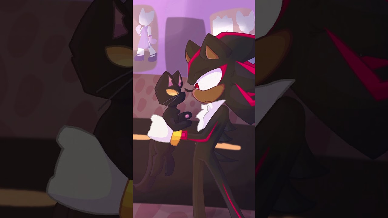 Shadow🖤❤️Loves Cats🖤Shadow the hedgehog🖤❤️holding a Black Cat🖤Sweet Little Bumblebee Song