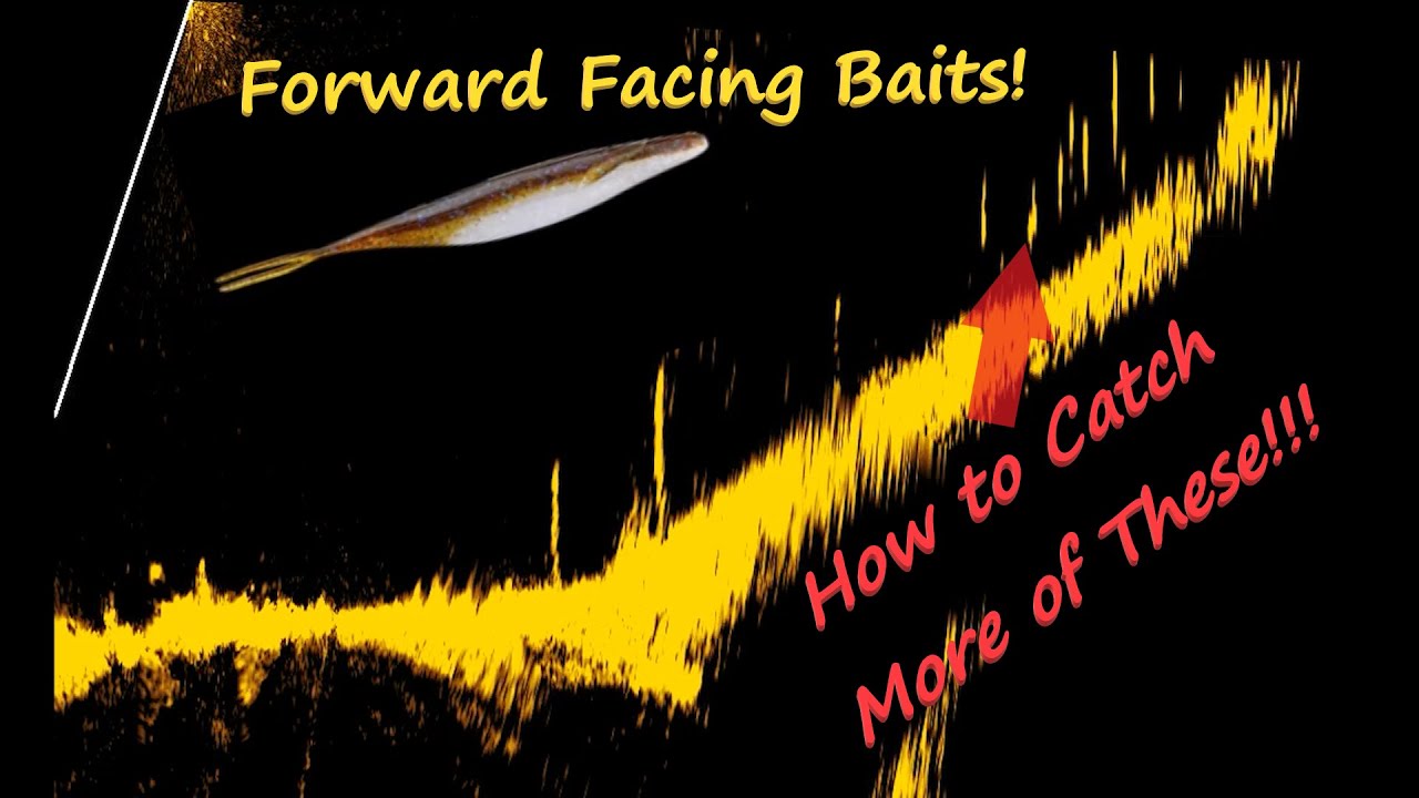 Forward Facing Sonar SECRET is OUT!!