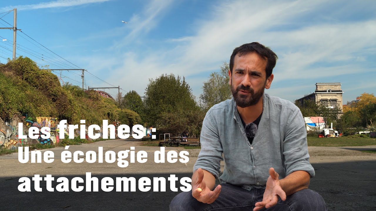 Penser l'habitat comme un problème commun aux vivants - Entretien avec Allan Wei