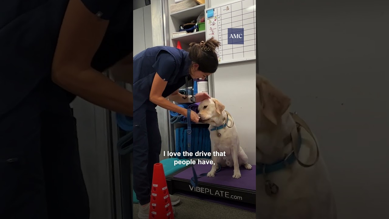 Pursuing a Dream Veterinary Career  