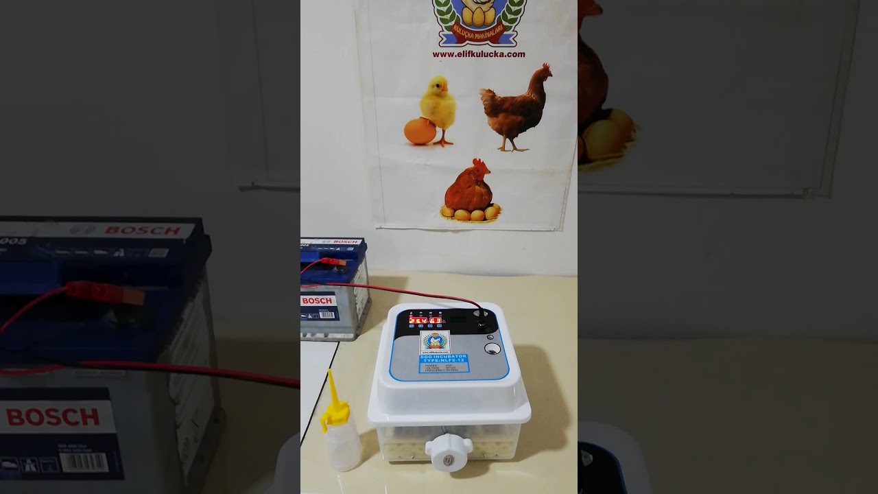 12 li Hobby Kulucka Makinası Civciv, Tavuk, Yumurta, ELIF, Kuluçka, KULUCKA,