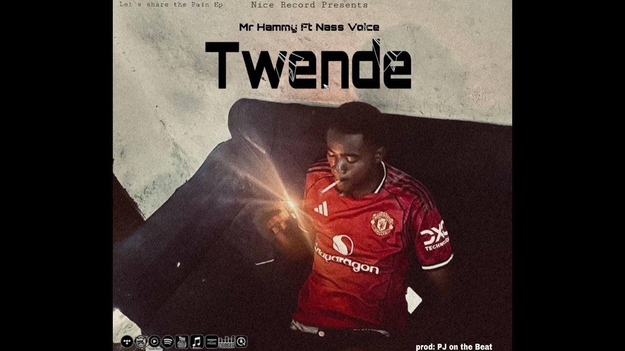 Mr_Hammy_(Twende)Track 7