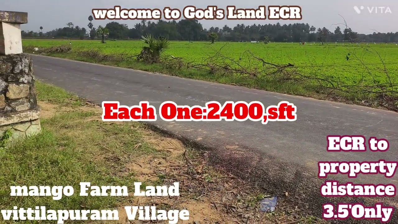 (🆔:462) Mango Farm Land near to Vittilapuram Village 