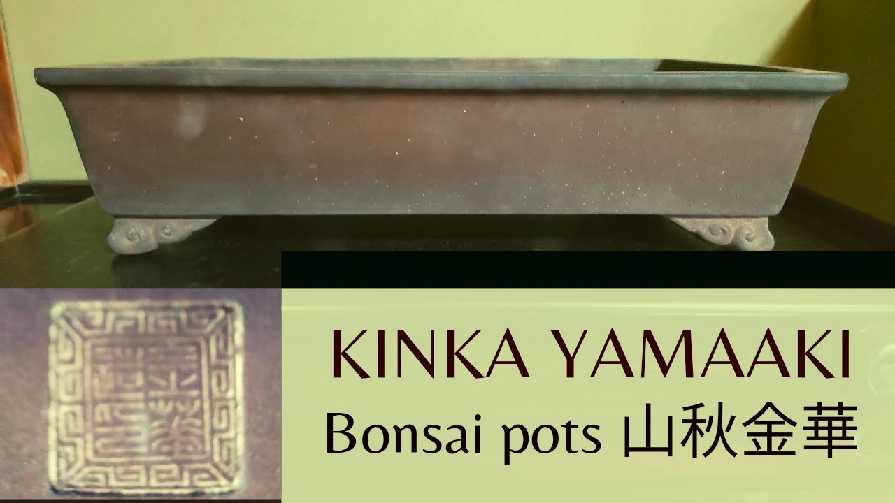 Kinka Bonsai Pot : Yamaaki's Old Brand 金華盆栽鉢