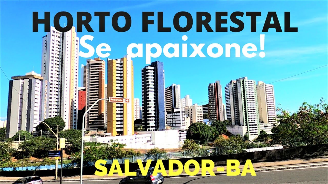 HORTO FLORESTAL | Salvador-Ba| Outra REALIDADE!
