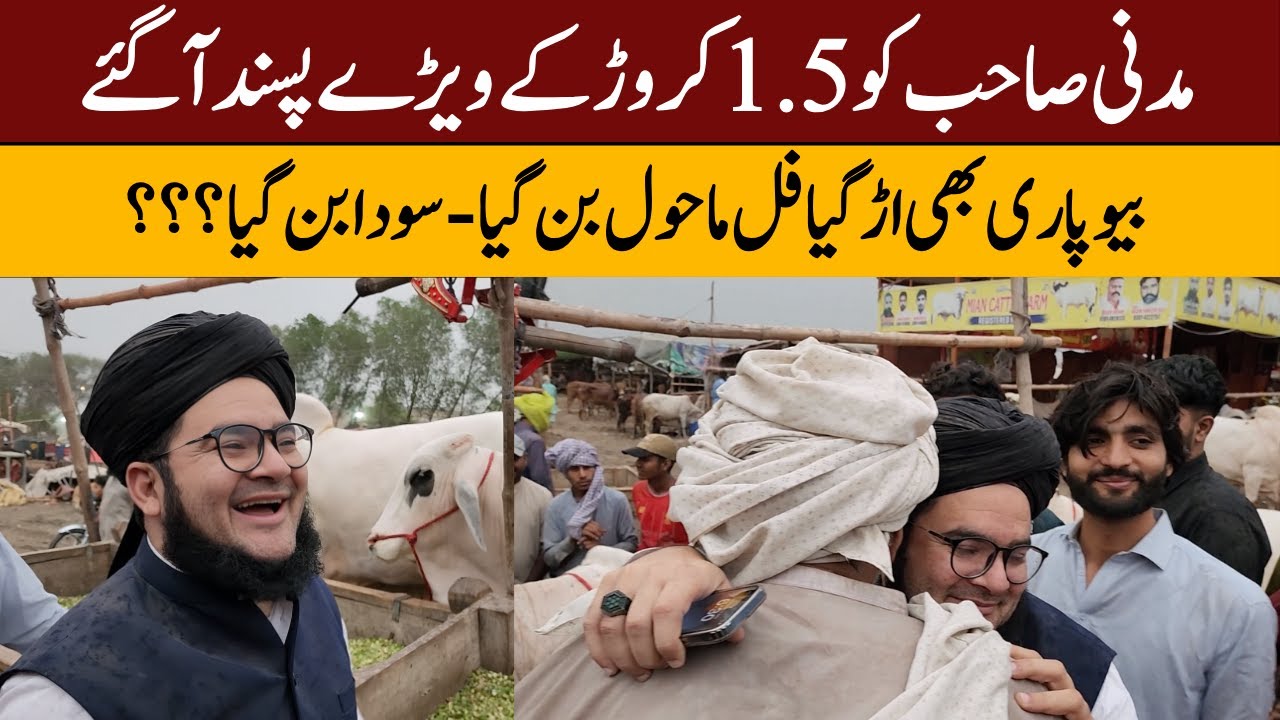 Madni Sahab Ko 1.5 Crore Ka Janwar Pasand Agaya | Nasir Madni in Bakra Mandi