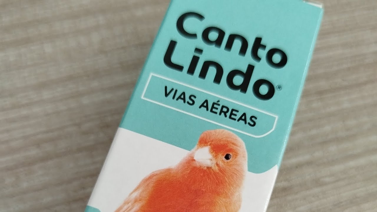 Canto lindo  vias aéreas... ( Rouquidão, coriza, bronquite e resfriado )