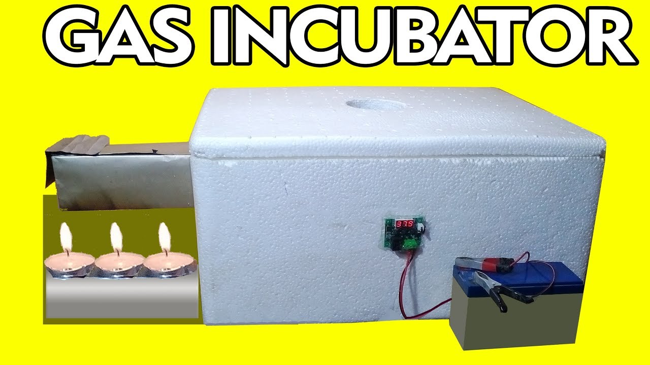 Homemade Incubator | Gas Incubator | How to Make an Egg Incubator
