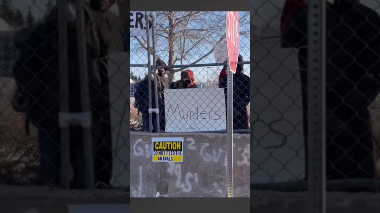 Cam Higby TROLLS Ice protesters in the most INSANE way