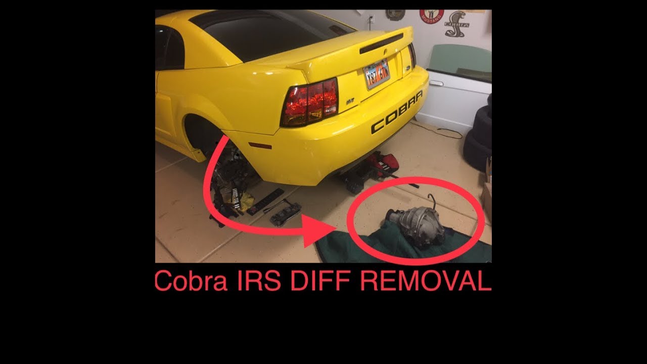 Cobra IRS Differential Removal 03/04 Cobra 99-04 Cobra FIX LEAKING DIFFERENTIAL