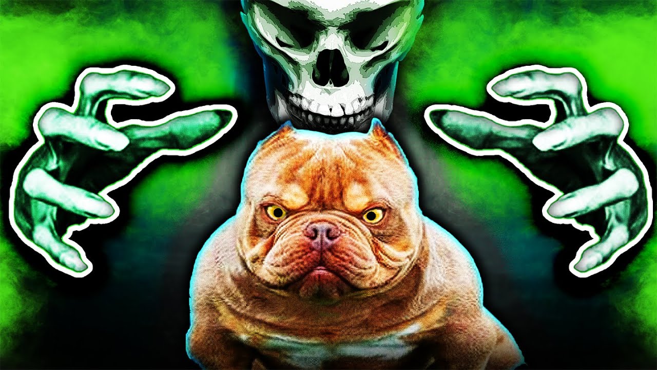 Why this Dog Breed Should Go EXTINCT