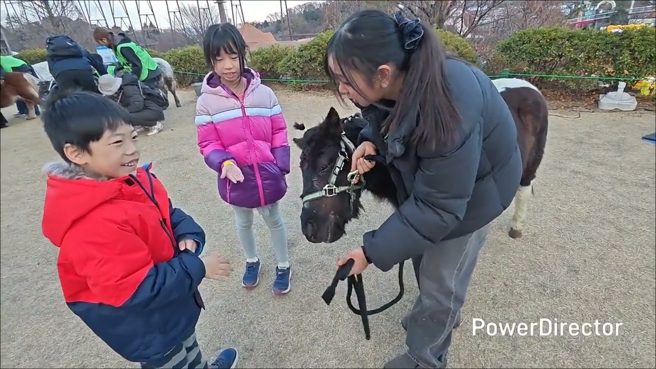 東京跨年之旅 （2025/26） Day 7 讀賣樂園