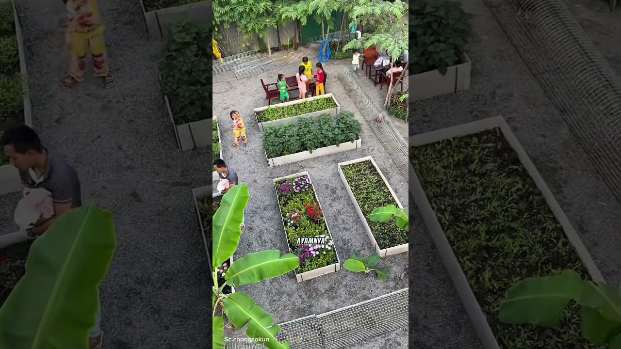 kafe alami #pertanian #tipsberkebun #keindahanalam #petanimodern #fblifestyle #fyi