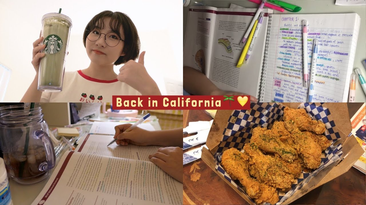 Я начала учиться на MCAT, и это не классно// Cali Vlog