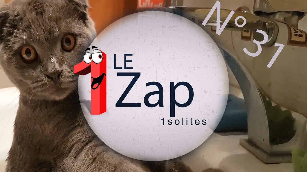 Le Zap 1solites n°31