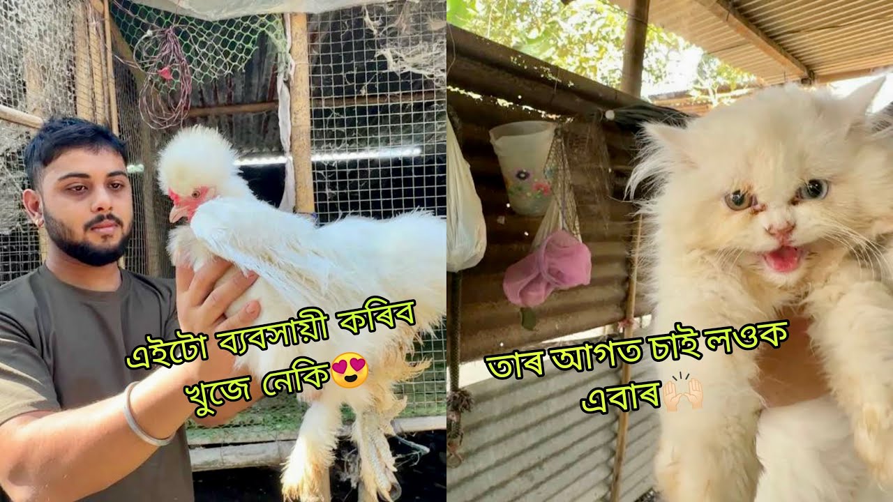 এইটো ব্যবসায়ী কৰিব খুজে নেকি😍? | তাৰ আগত চাই লওক এবাৰ🙌🏻