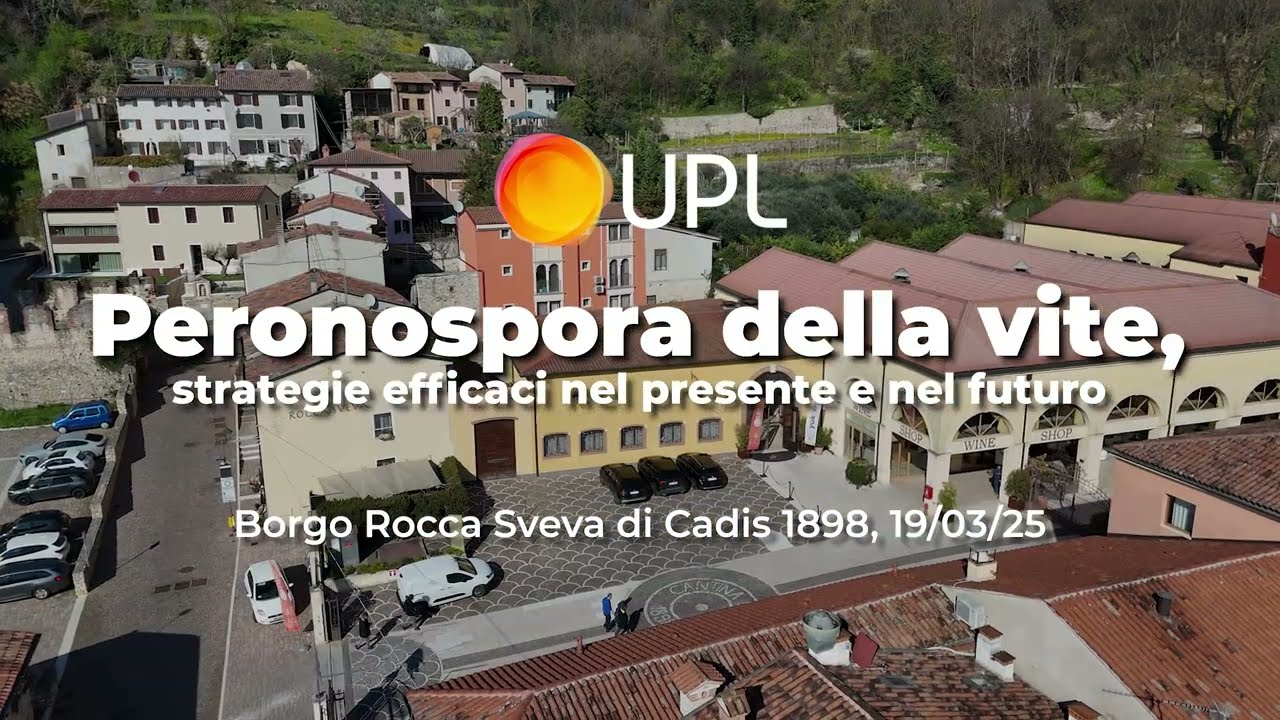 Peronospora della vite - Strategie efficaci del presente e nel futuro - Parte 2